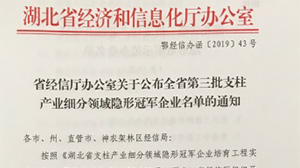 天瑞電子被認定為“湖北省支柱產業細分領域隱形冠軍示范企業”